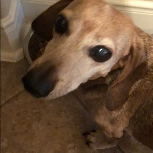 Meet your Posher, Duran